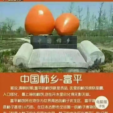 正宗富平自家柿饼