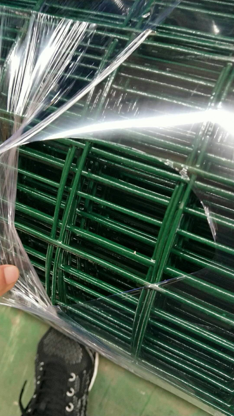 厂家直销荷兰网网，养殖网，养鸡网硬塑荷兰网