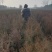 侧柏基地六十公分七十公分八十公分以上，优质侧柏百万出售