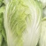 产地直供黄心大白菜《净菜、毛菜》脆甜无筋