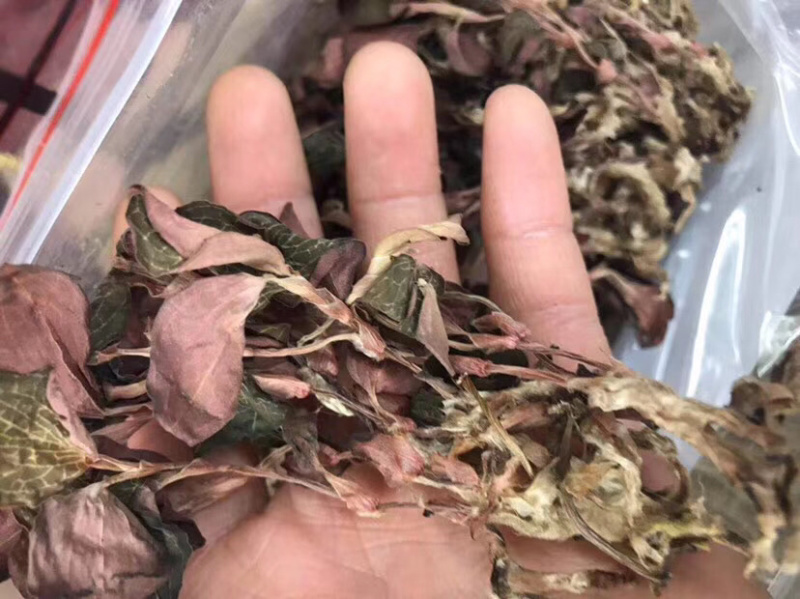 金线莲干货500克/斤