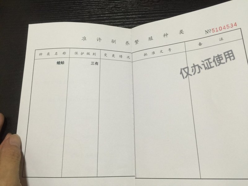 蟾蜍20万只养殖蟾50克