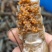 澳洲龙虾龙虾苗水产鱼苗批发小龙虾苗
