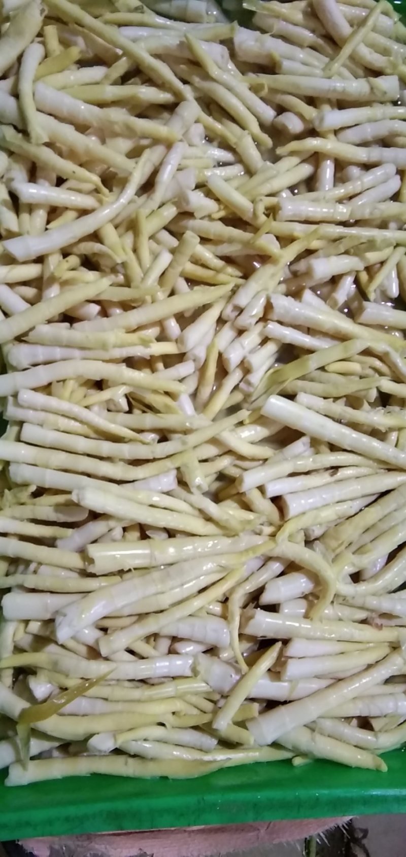精品福建罐头笋大量供应万亩产地直销可视频看货欢迎电联