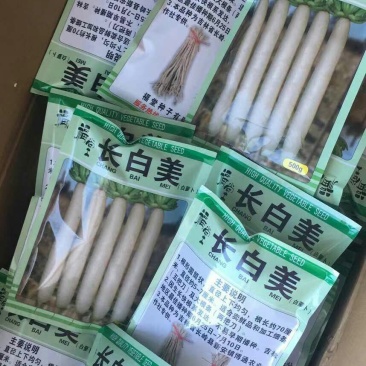 萝卜辣椒种植预定，欢迎前来合作。