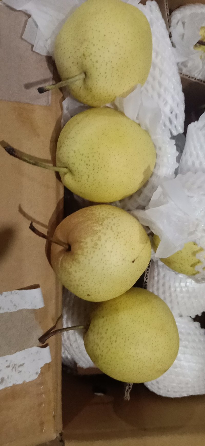 赵县雪花梨产地直发量大从优保质保量专业专注代办