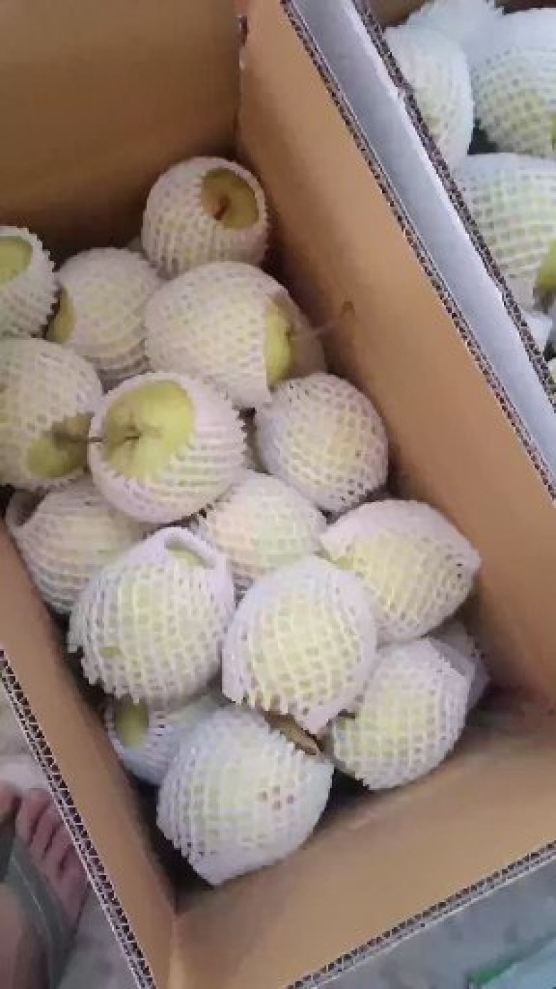 赵县雪花梨产地直发量大从优保质保量专业专注代办