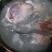 【一件代发】高品质牛腱子肉牛腿生牛肉批发包邮