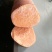精品龙薯九红薯红皮商品薯大量出货质量保证
