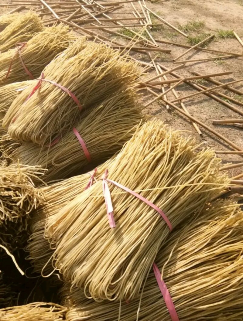红薯木薯粉条！干净卫生传统手艺。口感爽劲一手货源全国代发
