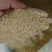 大量供应植物性饲料发酵豆粕畜禽宠物水产饲料发酵剂含微量元