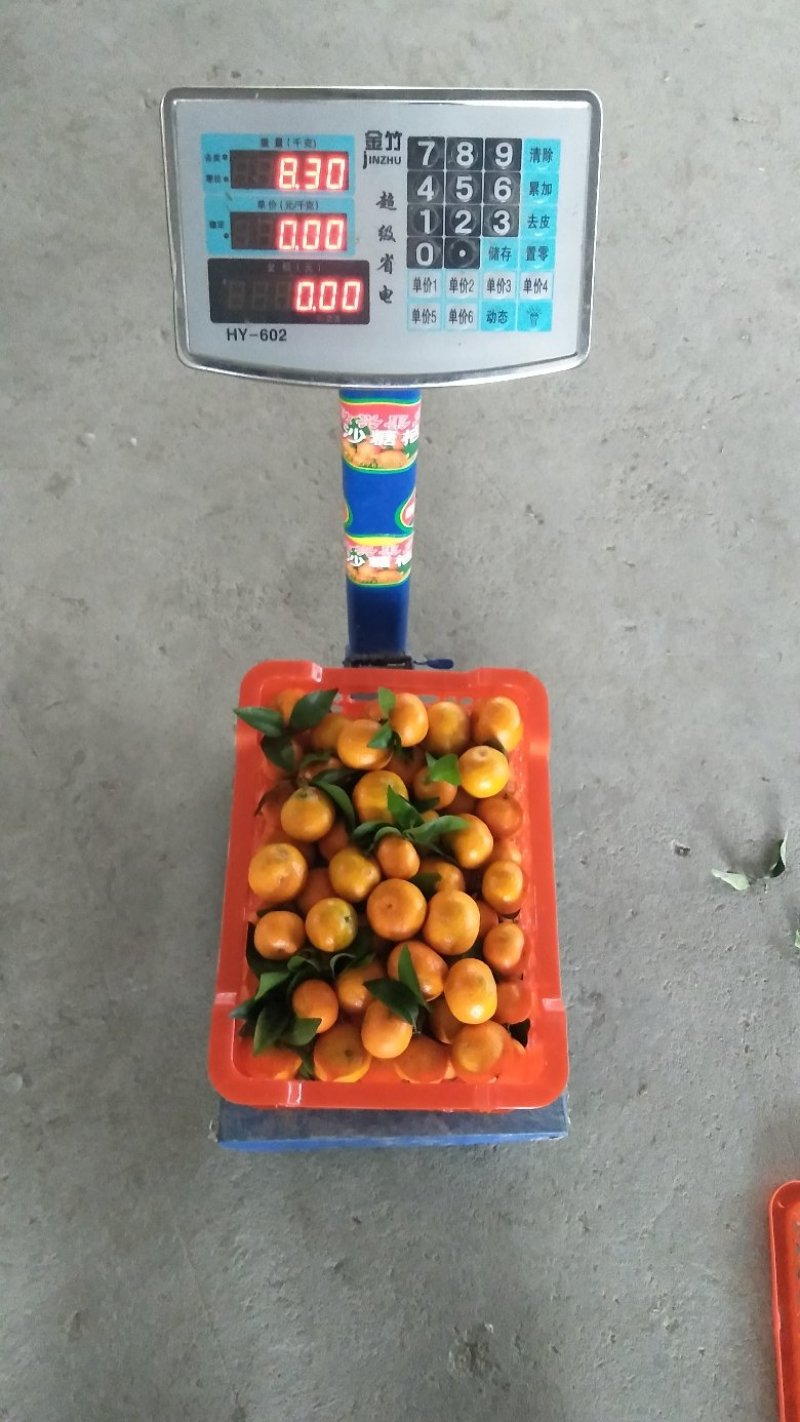 塑料水果筐，高品质一次性水果筐，