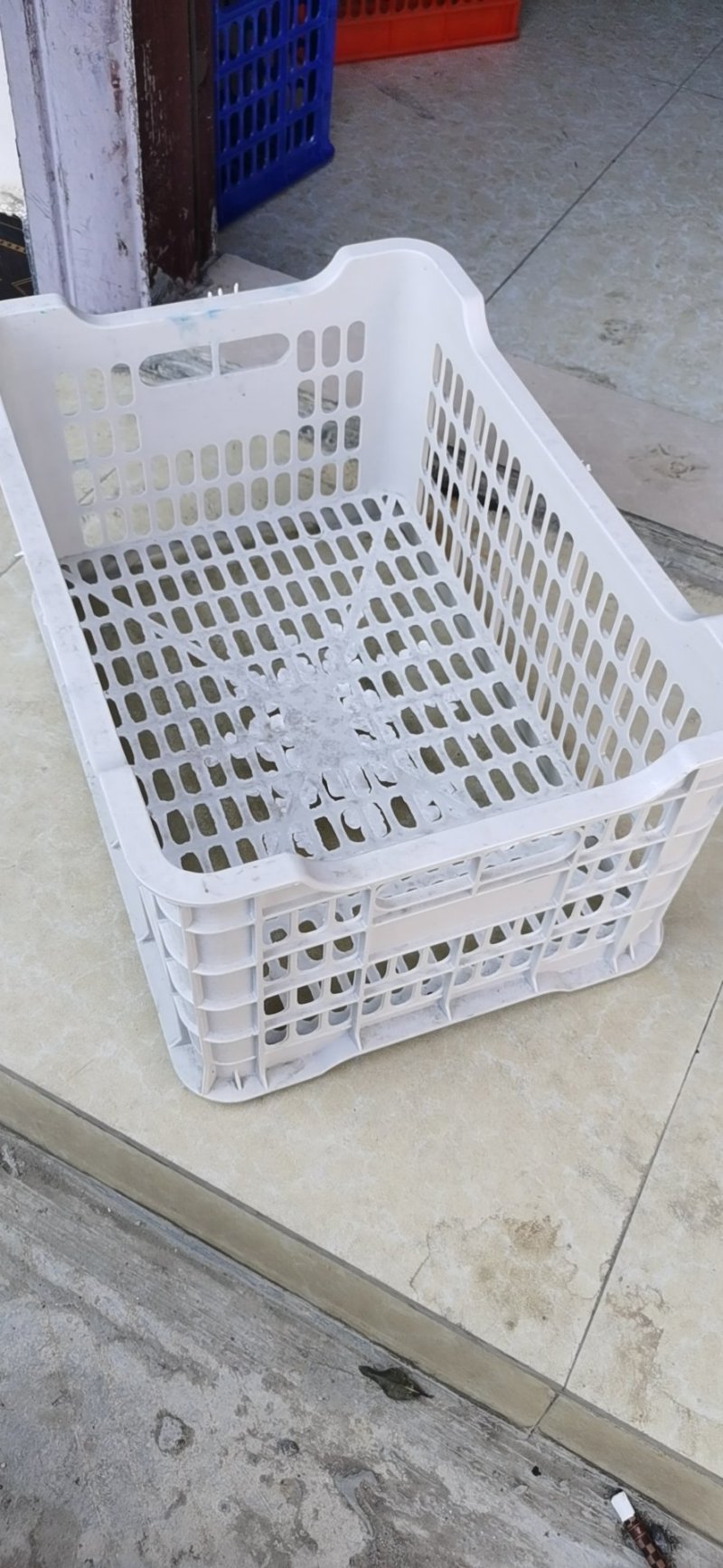 塑料水果筐，高品质一次性水果筐，