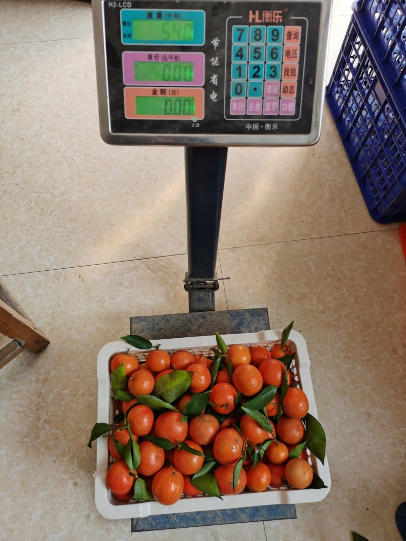 塑料水果筐，高品质一次性水果筐，