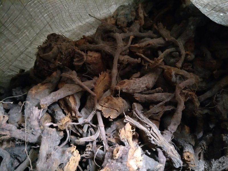 虎杖，干货段子虎仗粉虎仗虎丈虎杖根中药材