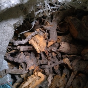 虎杖，干货段子虎仗粉虎仗虎丈虎杖根中药材