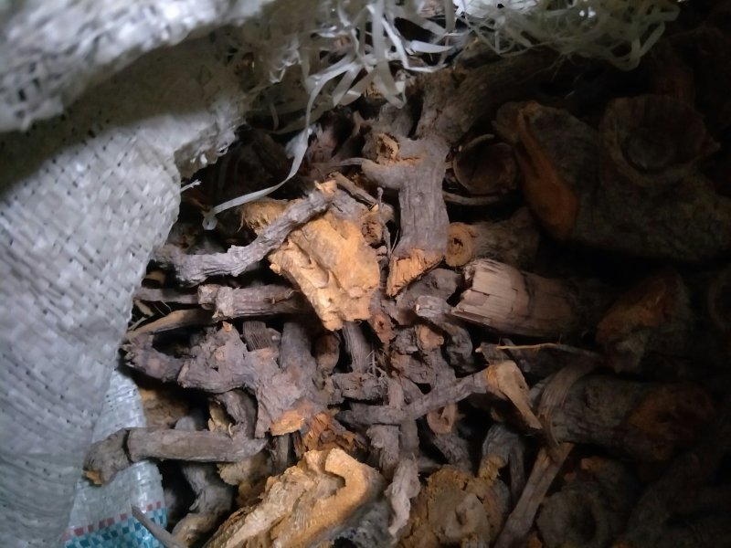 虎杖，干货段子虎仗粉虎仗虎丈虎杖根中药材