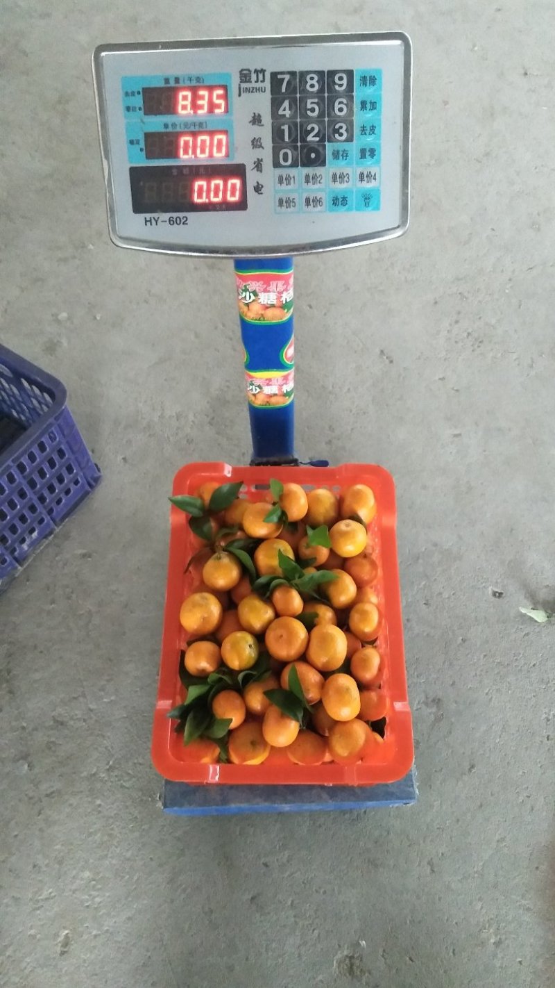 塑料水果筐和水果分练分级包装