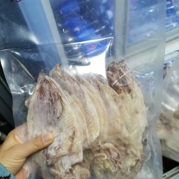烧烤鱿鱼芥末鱿鱼广东鱿鱼3AAAA