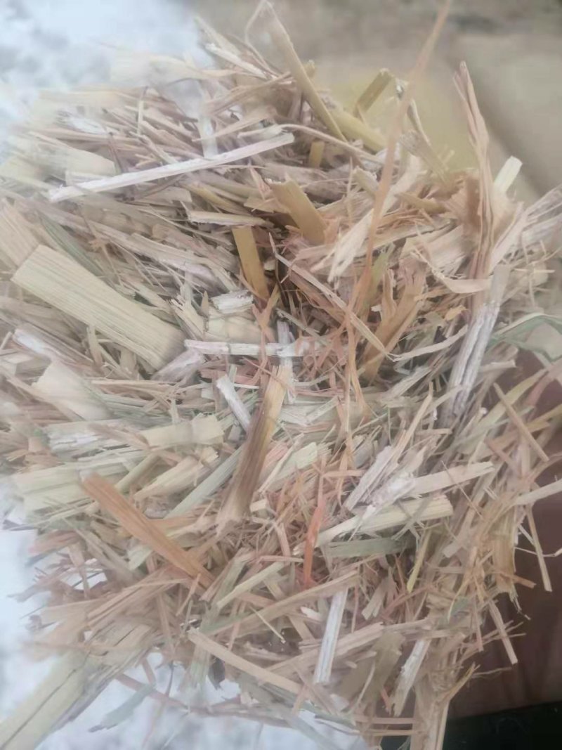 现货批发马场牛场用除尘干净卫生青干草截断柔丝放心牧草谷草