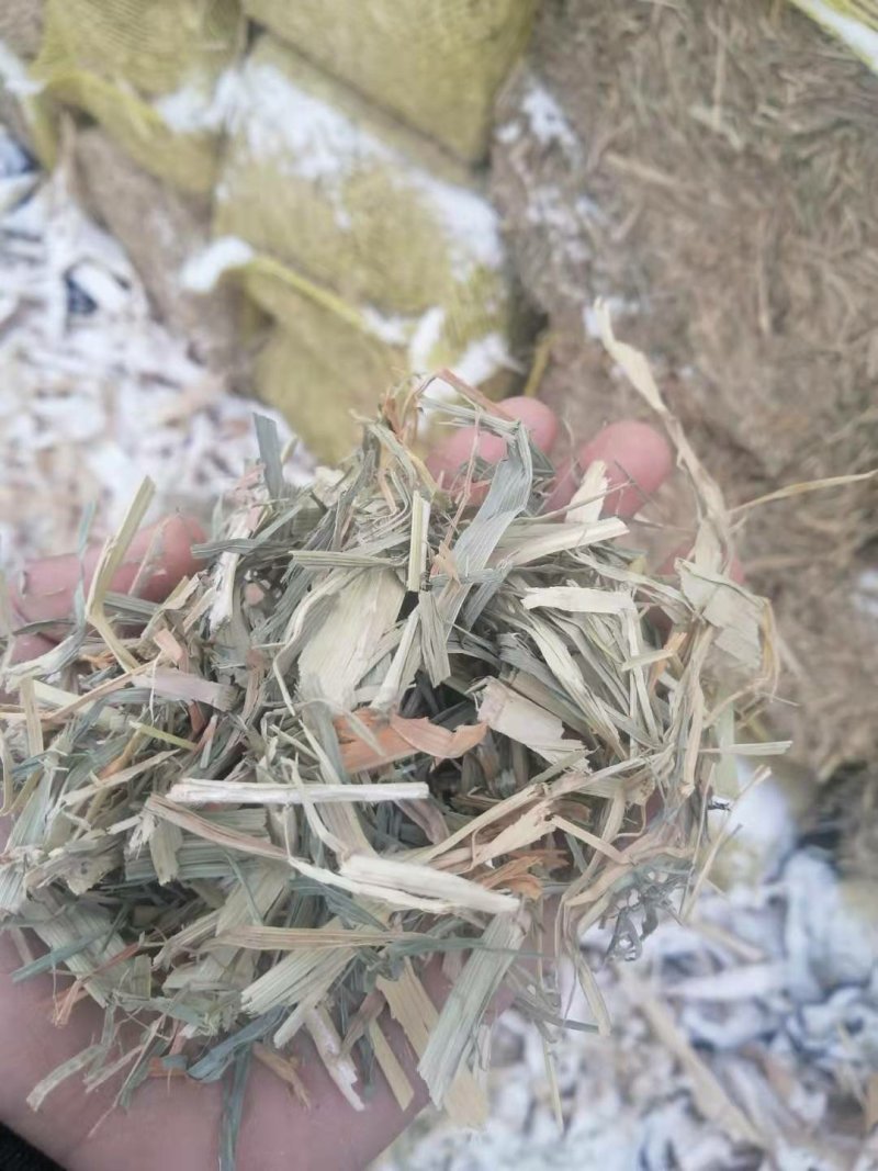 现货批发马场牛场用除尘干净卫生青干草截断柔丝放心牧草谷草