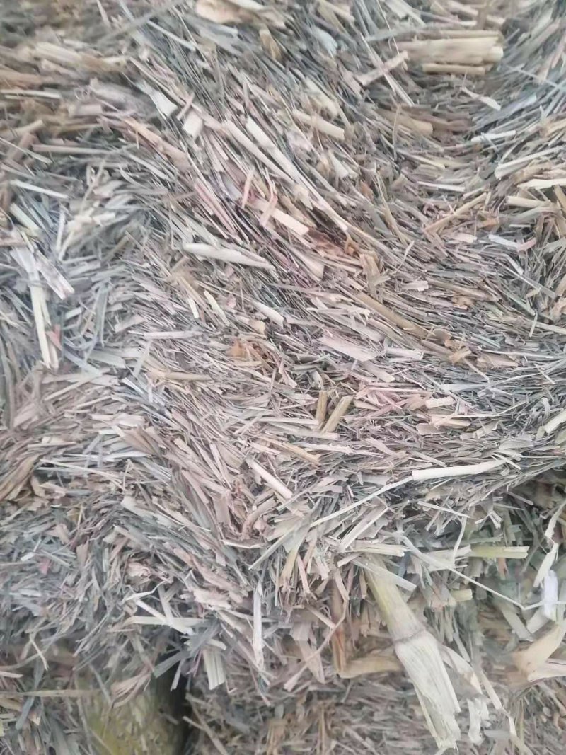 现货批发马场牛场用除尘干净卫生青干草截断柔丝放心牧草谷草