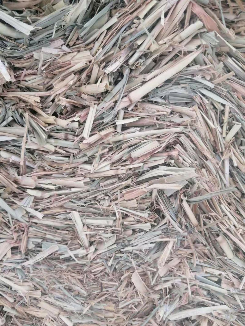 现货批发马场牛场用除尘干净卫生青干草截断柔丝放心牧草谷草