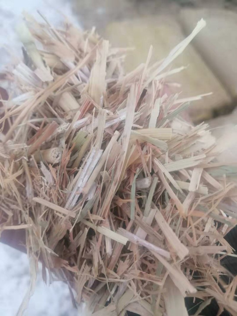 现货批发马场牛场用除尘干净卫生青干草截断柔丝放心牧草谷草