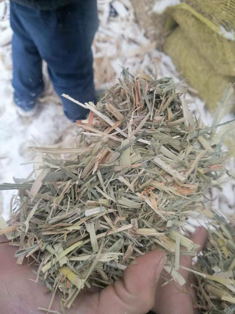 现货批发马场牛场用除尘干净卫生青干草截断柔丝放心牧草谷草