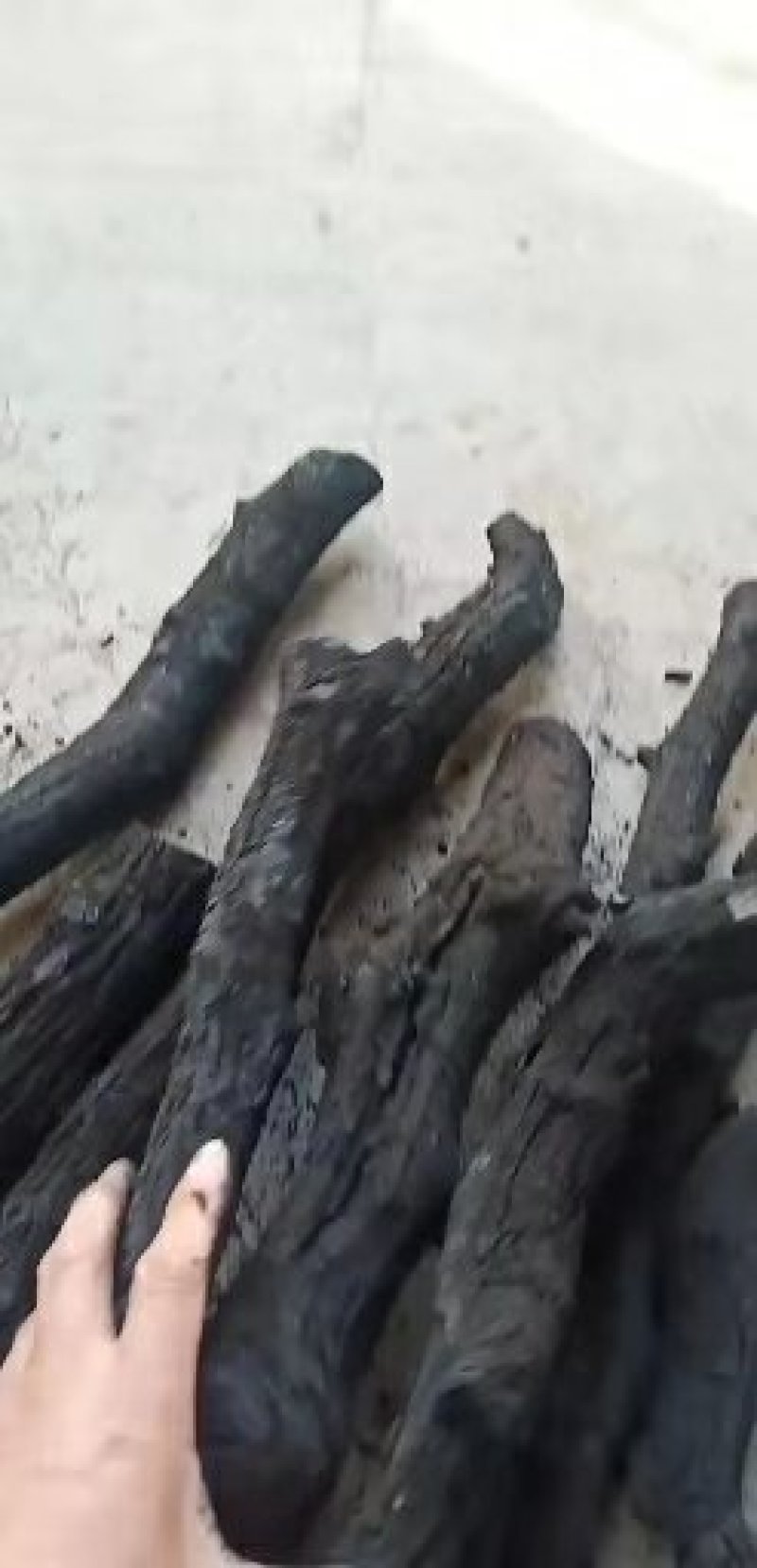 枣木炭,烧烤木炭
