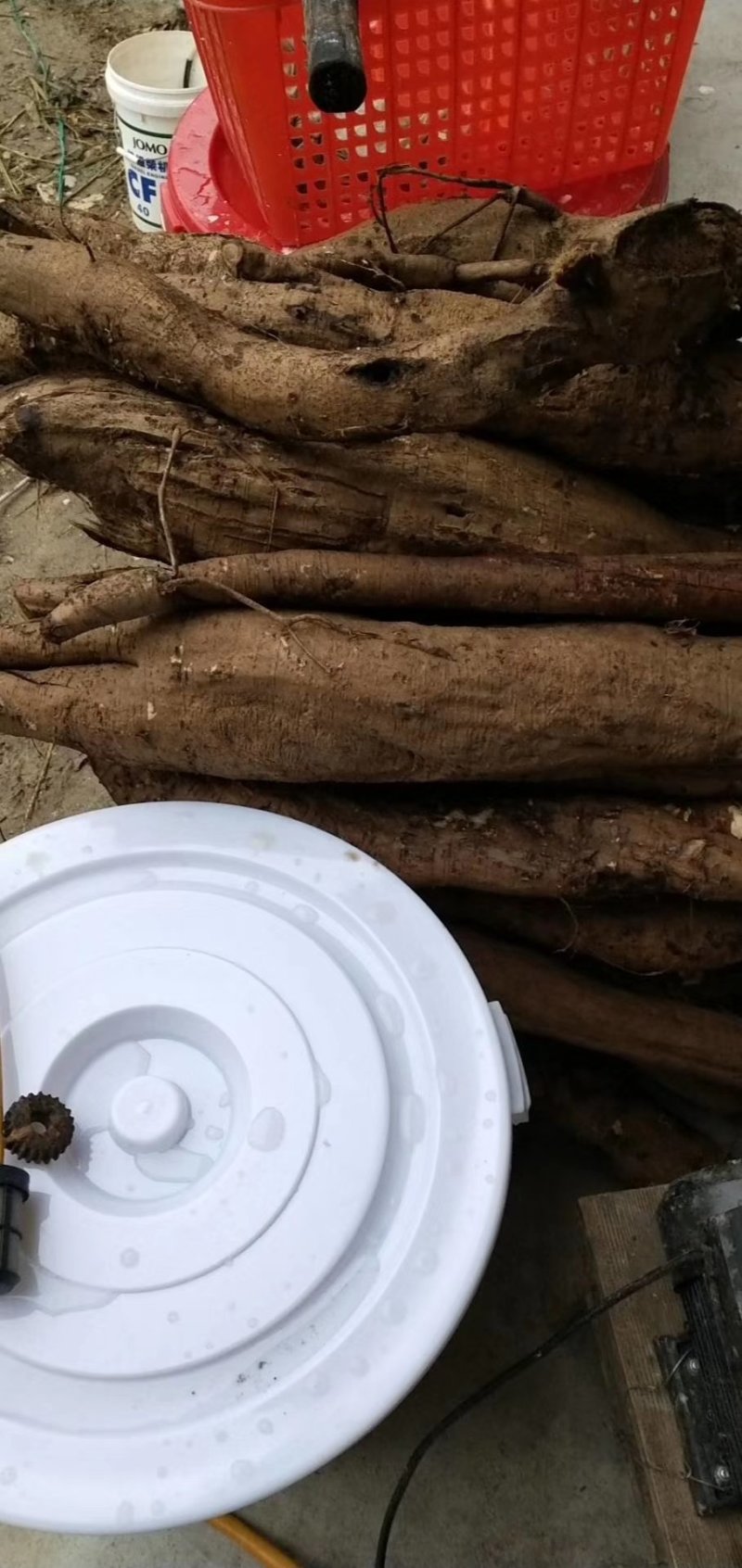 纯野生葛根粉