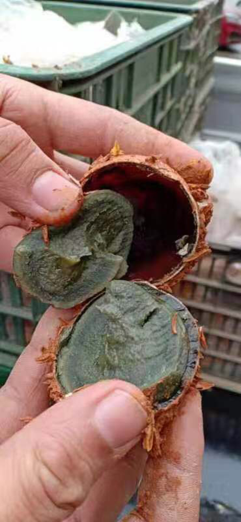 松花皮蛋流动性生意赶集早市全包泥半包你量大优惠