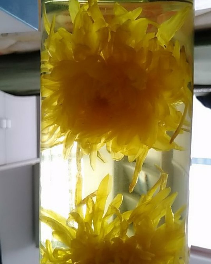 金丝皇菊花欢迎新朋友加入购物车