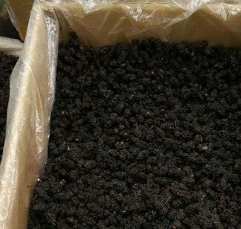 散装新货桑葚干个大肉厚无沙桑果干净无杂质量大优惠桑椹子