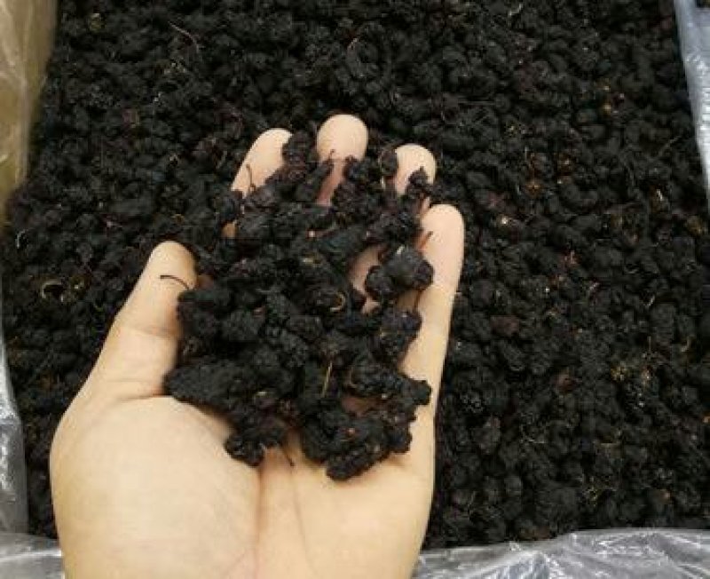 散装新货桑葚干个大肉厚无沙桑果干净无杂质量大优惠桑椹子