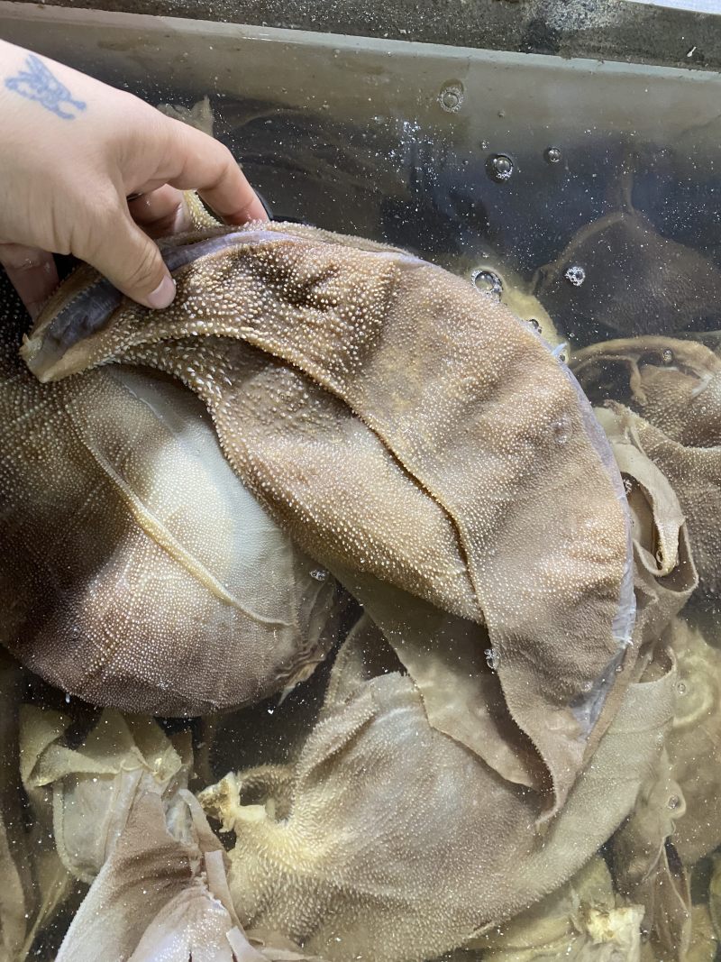 重庆火锅食材水发毛肚毛肚中间大叶片口感纯正