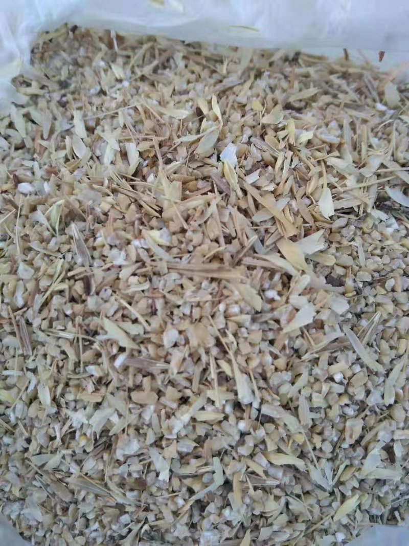 饲料供应大片玉米皮含玉米粒适合养羊
