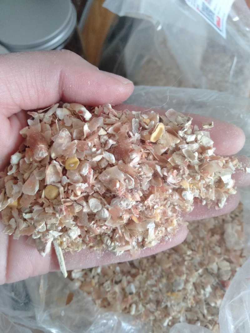 饲料供应大片玉米皮含玉米粒适合养羊