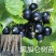 黑加仑树苗嘉宝果南方北方种植当年结果庭院果树树葡萄