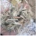 厂家大量低价供应优质牛羊饲料育肥饲料谷草羊草稻草