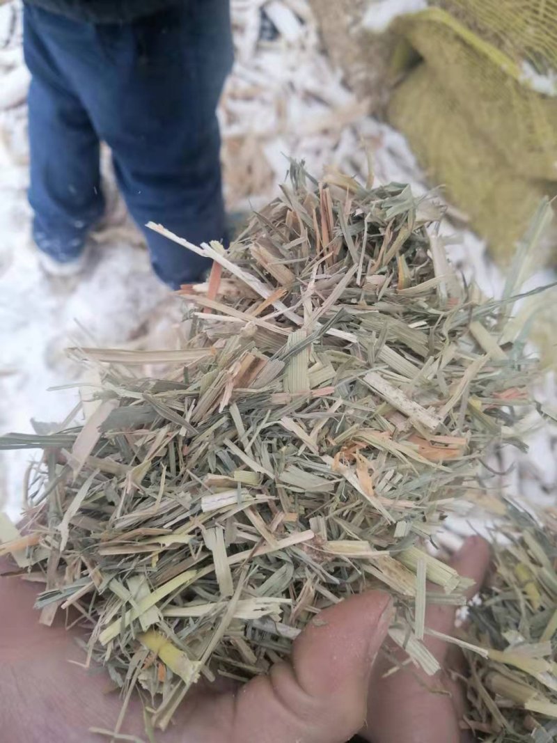 厂家大量低价供应优质牛羊饲料育肥饲料谷草羊草稻草