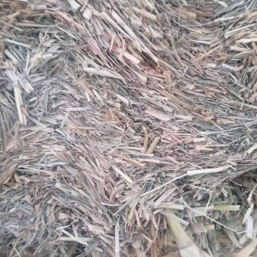 厂家大量低价供应优质牛羊饲料育肥饲料谷草羊草稻草