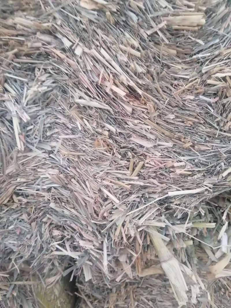 厂家大量低价供应优质牛羊饲料育肥饲料谷草羊草稻草