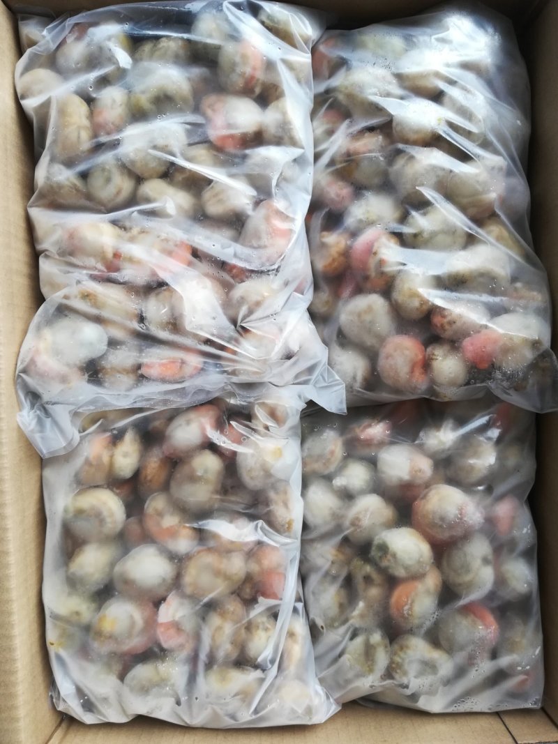 大个无沙扇贝肉，原汁扇贝肉，肉质新鲜保质保量