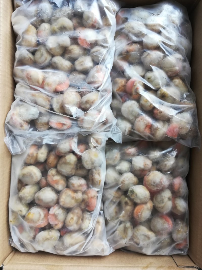 大个无沙扇贝肉，原汁扇贝肉，肉质新鲜保质保量