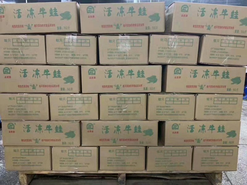 活冻牛蛙