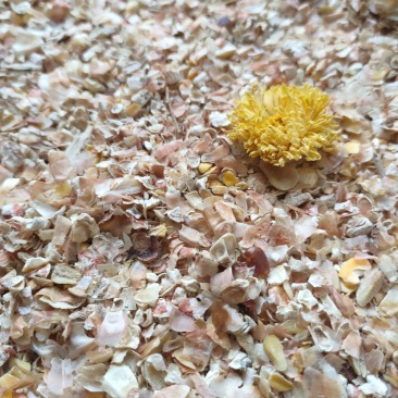【长期销售】养殖羊饲料家畜用烘干植物性饲料牛羊饲料纯