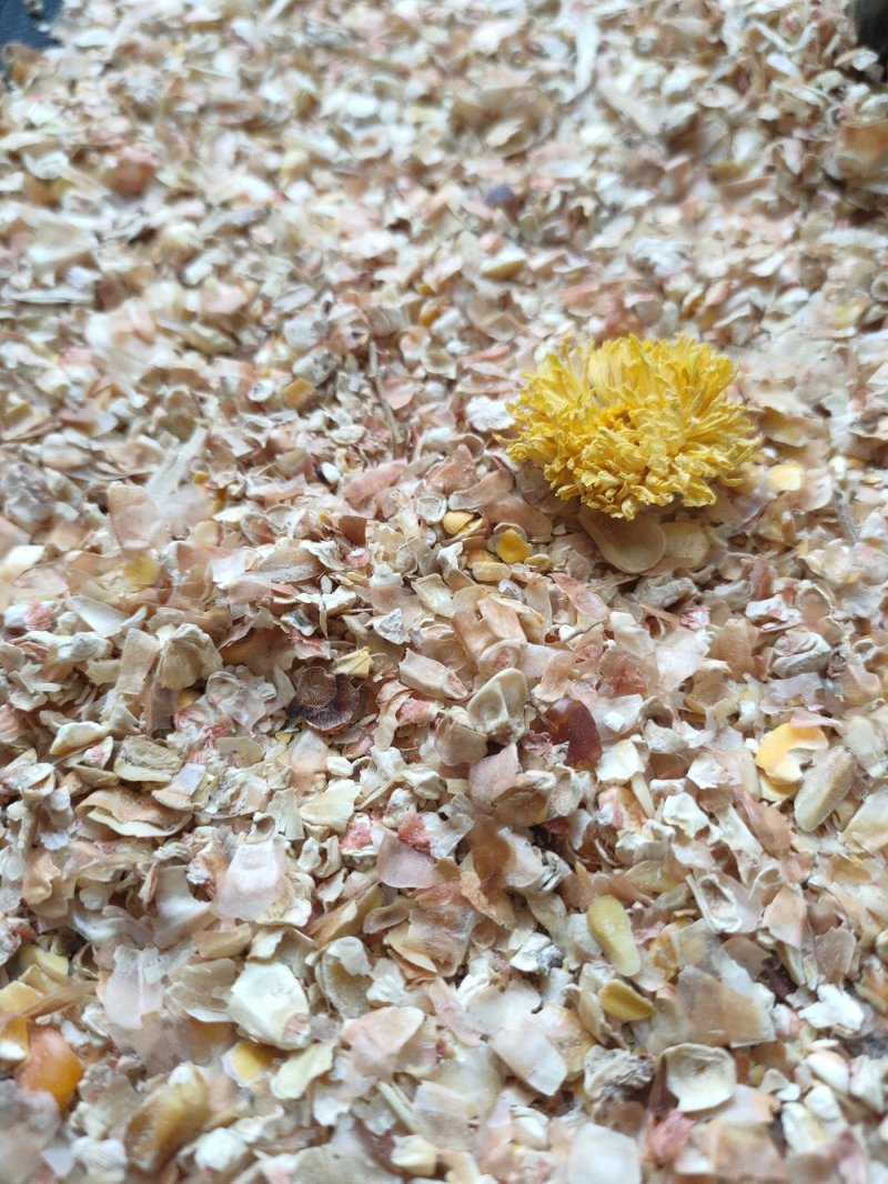 【长期销售】养殖羊饲料家畜用烘干植物性饲料牛羊饲料纯