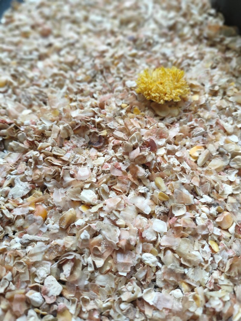【长期销售】养殖羊饲料家畜用烘干植物性饲料牛羊饲料纯