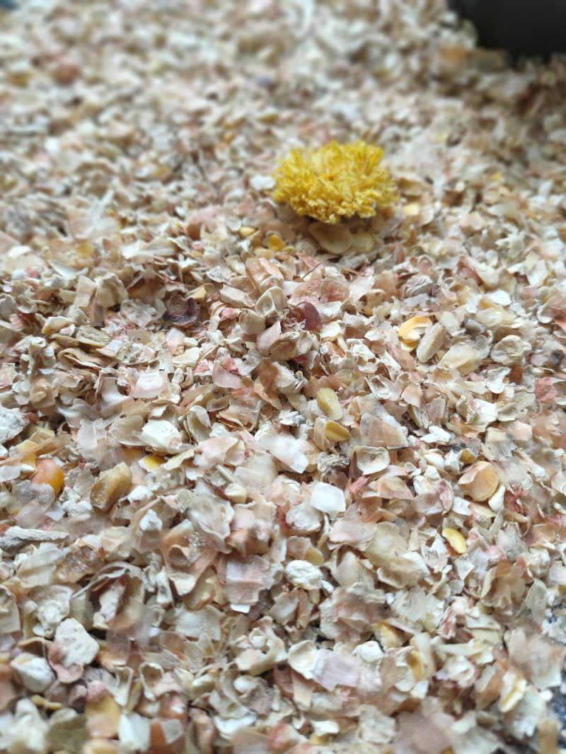 【长期销售】养殖羊饲料家畜用烘干植物性饲料牛羊饲料纯